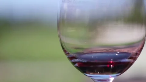 Wine Glass to Vineyard Focus Pull Stock Footage 72031525