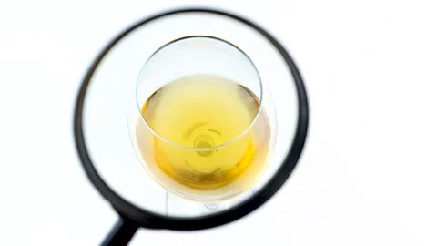 Wine glass on white background through magnifying glass,alcohol quality control Stock-Footage 279775836