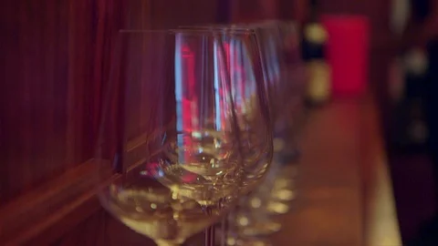 Wine Glasses Vídeo Stock 103231864