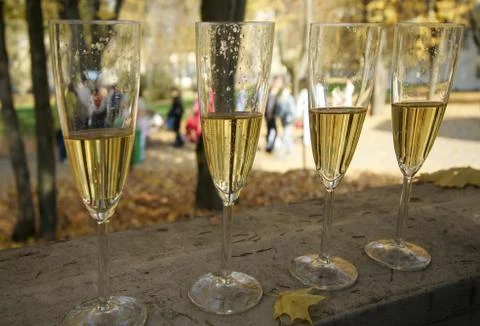 Wine-glasses Stock Photos