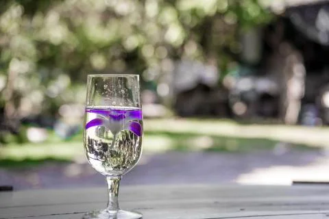 Wine glasses Stock Photos