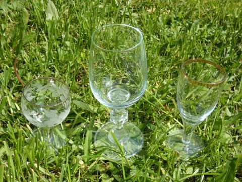 Wine Glasses Three on the Grass Stock Photos
