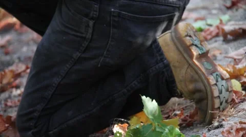 Wine Grape Worker Stock Footage 879667