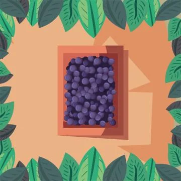 Wine grapes inside box vector design Illustrazione stock