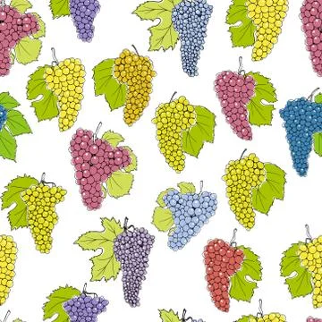 Wine grapes pattern Stock Illustration