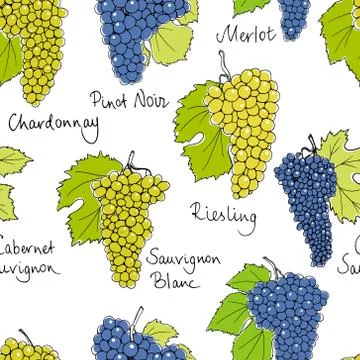Wine grapes pattern Stock Illustration