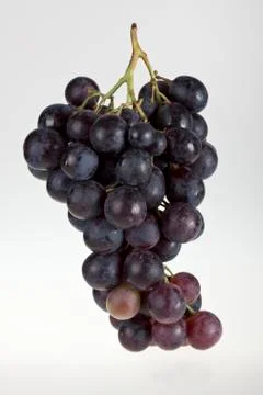 Wine grapes Stock Photos