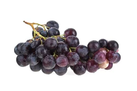 Wine grapes Stock Photos