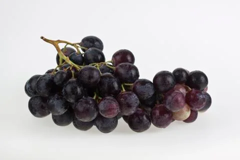 Wine grapes Stock Photos