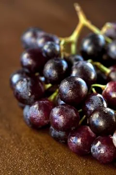 Wine grapes Foto stock