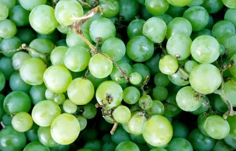 Wine grapes Stock Photos