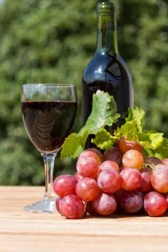 Wine grapes Foto stock