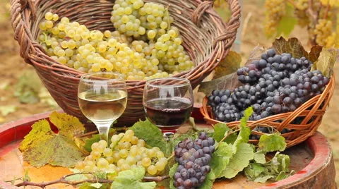 Wine with grapes in the vineyard Stock Footage 41574161
