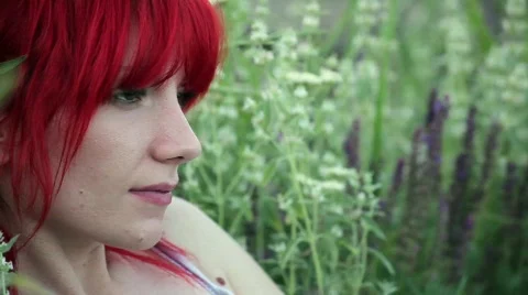 Wine HD 스톡 동영상 740055