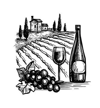 Wine ink sketch. Illustrazione stock