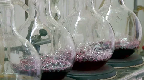Wine laboratory. Stock Footage 62560624