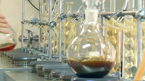 Wine laboratory. Stock Footage 62560790