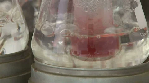 Wine laboratory. Stock Footage 63033386