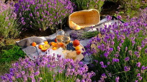 Wine in a lavender field. Selective focus. Stock Footage 205080222