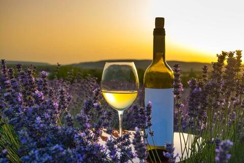 Wine in lavender Foto stock