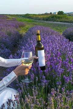 Wine in lavender Stock-Fotos