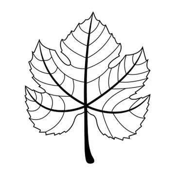 Wine leaf isolated on white background. Black silhouette of grape leaf. Vector. イラスト素材