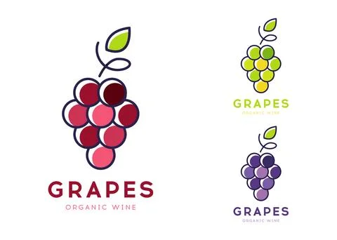 Wine logo vector flat line grapes icon Stock Illustration