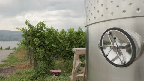 Wine maceration tank, rows of grape vines on a vineyard, Okanagan, BC. 4K 24FPS Stock Footage 209490674