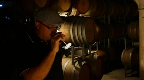 Wine Maker Stock Footage 47266973