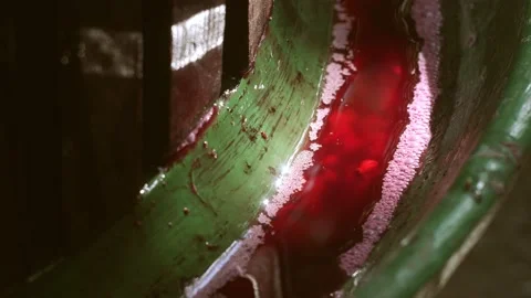 Wine Maker Machine Stock Footage 141277456