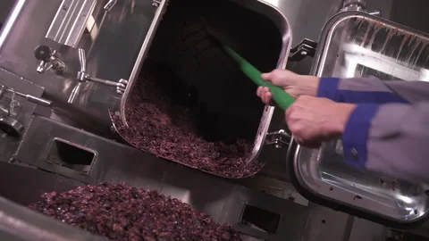 Wine maker making vine from grapes. Mechanical wine press from pomace and wort, Stock Footage 153813172