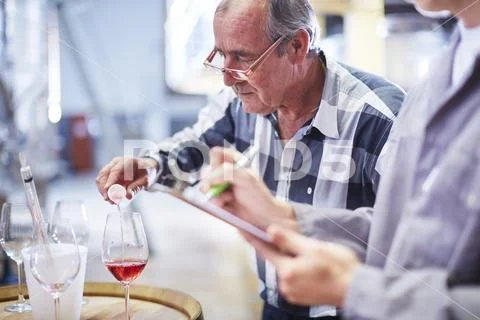 Wine Maker Testing Wine Blend