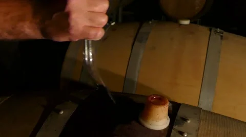 Wine Maker tests wine barrel Stock Footage 47267035
