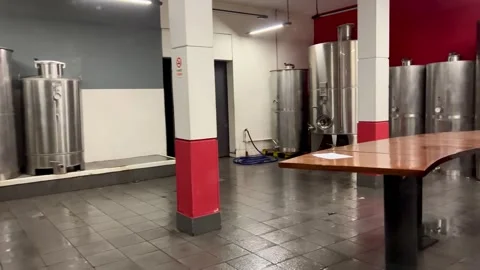 Wine making in Argentina Stock Footage 248181987