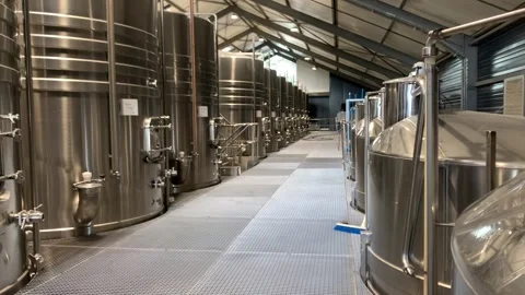 Wine Making Stock Footage 254047072