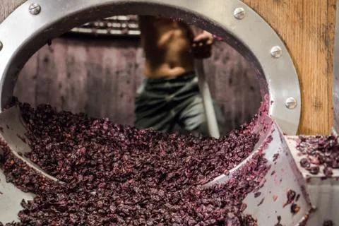 Wine making in France Stock Photos