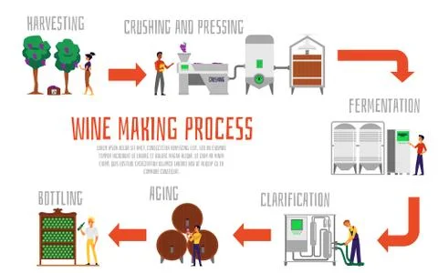 Wine making process banner template - set of steps from grapes to alcohol Stock Illustration