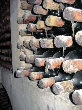 Wine making process Stock Photos