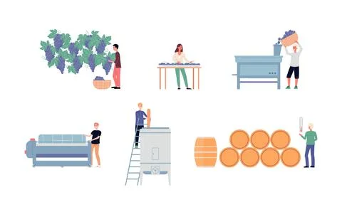 Wine making process on winery, production of traditional alcohol beverage. Stock Illustration