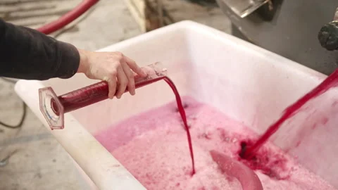 Wine making with test tube machine and thermometer in action at winery Stock Footage 321405826