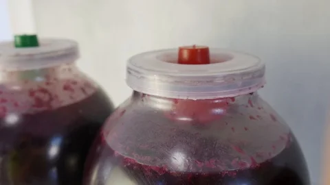 Wine Making, Wine Fermentation Process, Small Bubbles Rise in a Jar of Wine Stock Footage 117185118