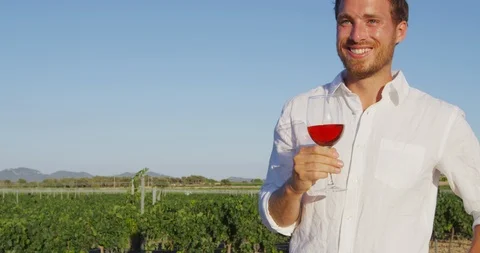 Wine - man drinking red rose wine at vineyard Stock Footage 86340322