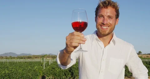 Wine - Man drinking rose or red wine toasting at vineyard Stock Footage 86340282
