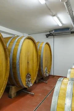 Wine maturing in oak aging barrels in Hnanice cellar Stock Photos