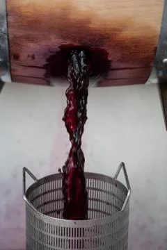 Wine mixing during fermentation process in barrel, Bordeaux Vineyard, France Stock-Fotos