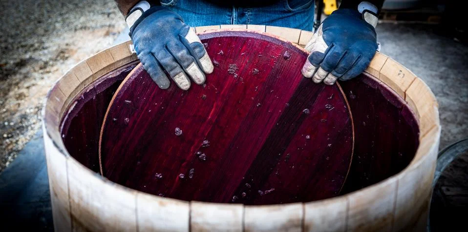Wine mixing during fermentation process in barrel, Bordeaux Vineyard, France Foto stock