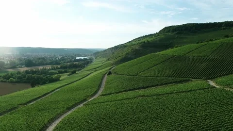 Wine Mosaic 2 Video stock 140052106