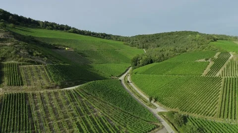 Wine Mosaic Video stock 140267628