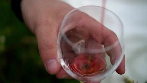 Wine in nature with glasses Stock Footage 158732822