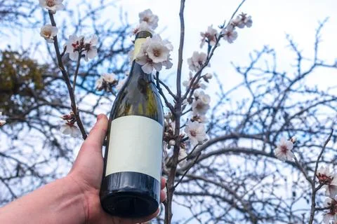 Wine in nature Stock Photos